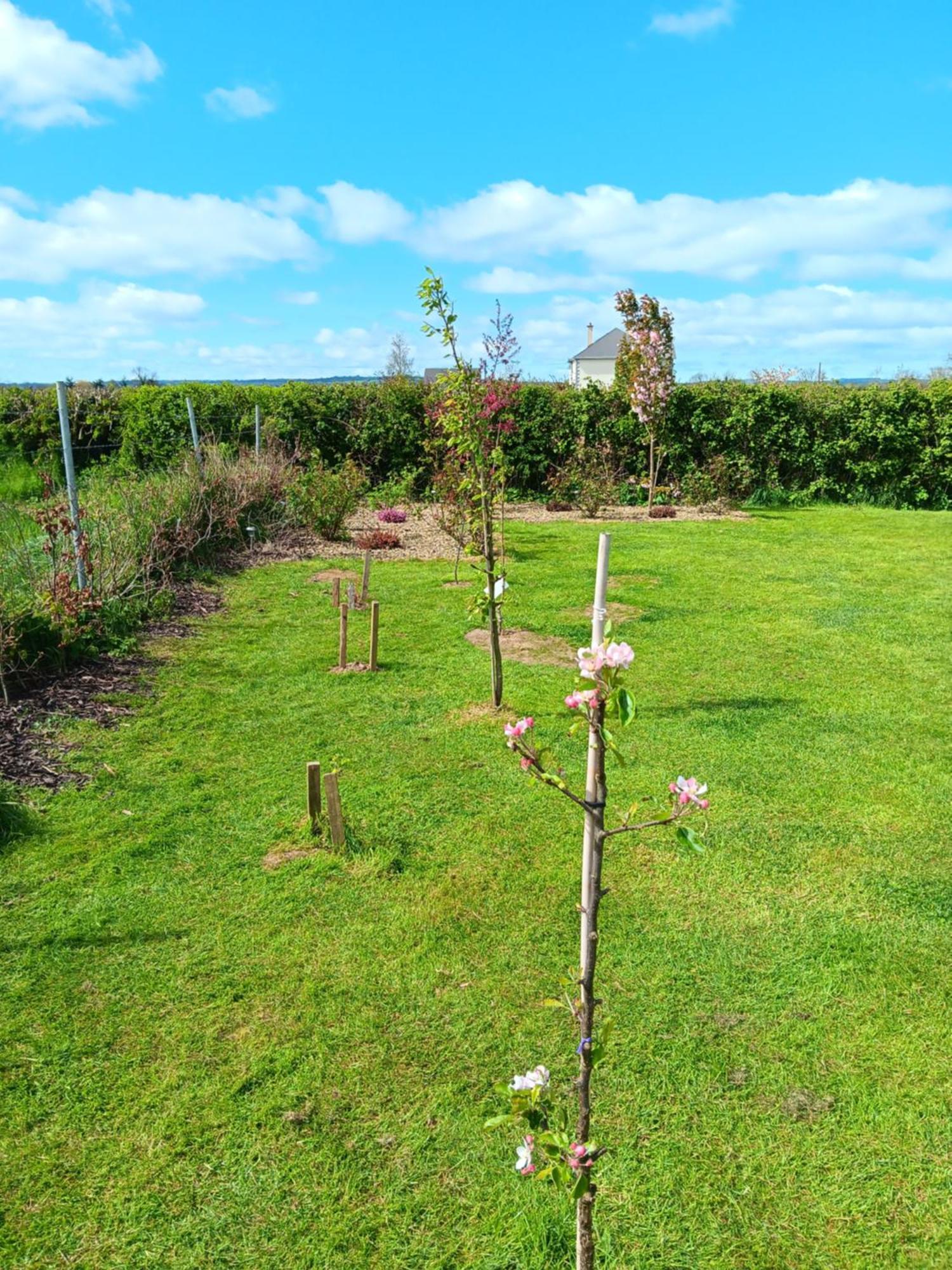 Apartment Duplex/2 Bedrooms On Kildare/carlow/laois Border Carlow