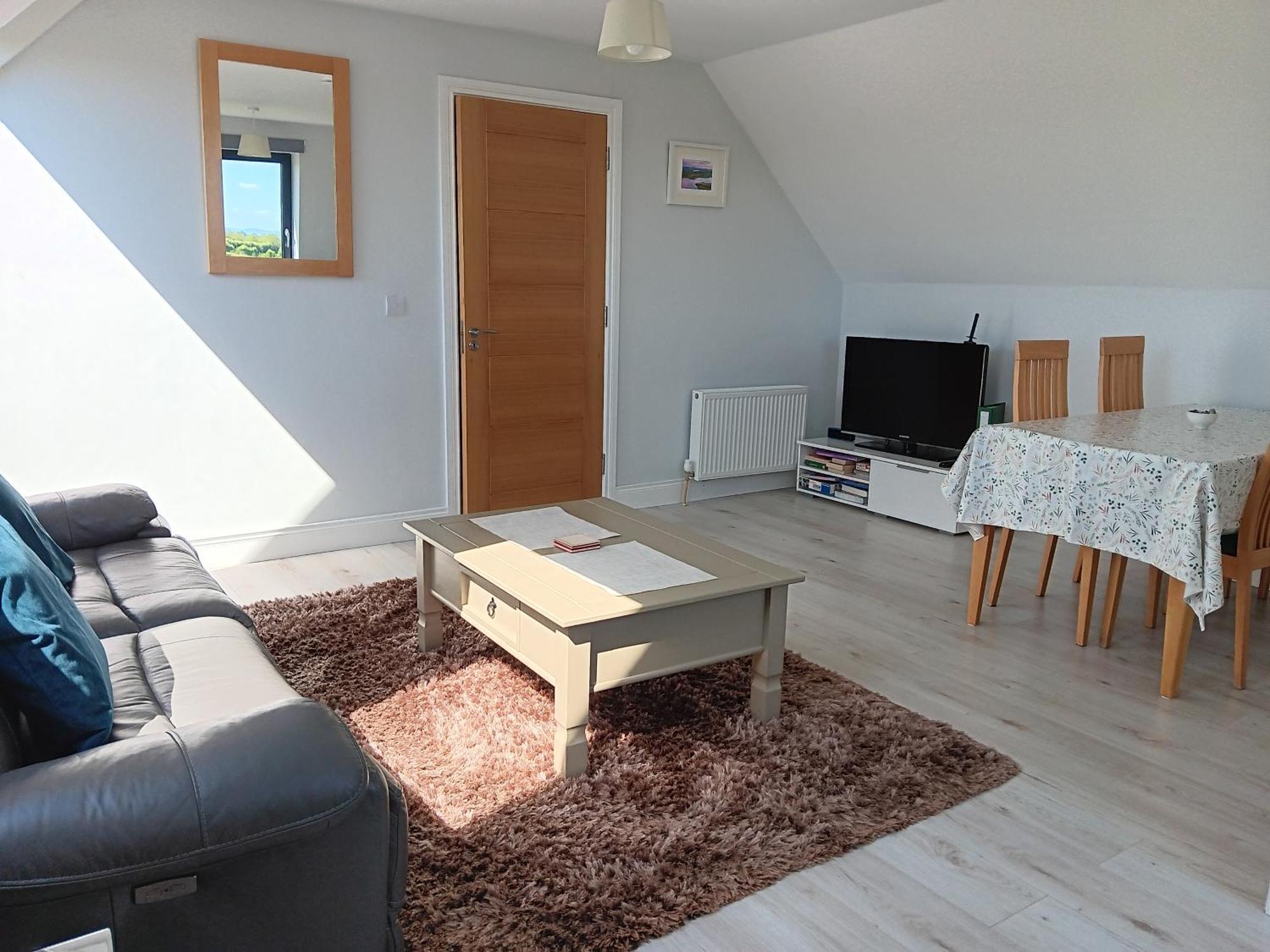 Duplex/2 Bedrooms On Kildare/carlow/laois Border Apartment Carlow